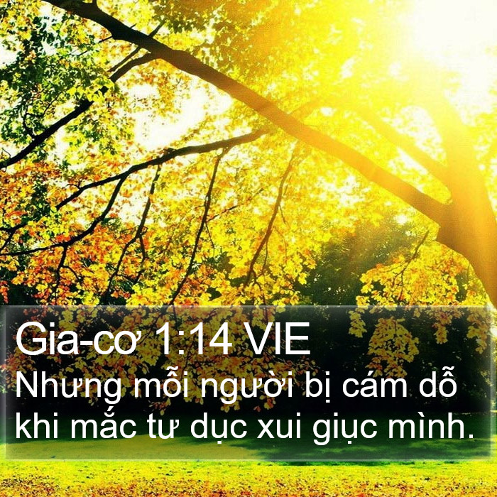 Gia-cơ 1:14 VIE Bible Study