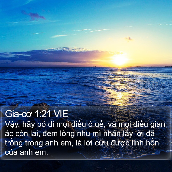 Gia-cơ 1:21 VIE Bible Study