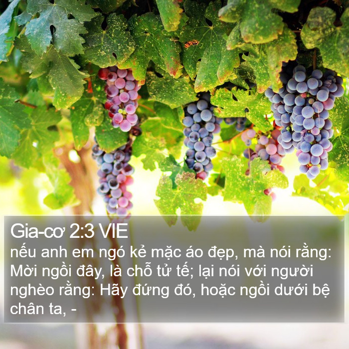 Gia-cơ 2:3 VIE Bible Study