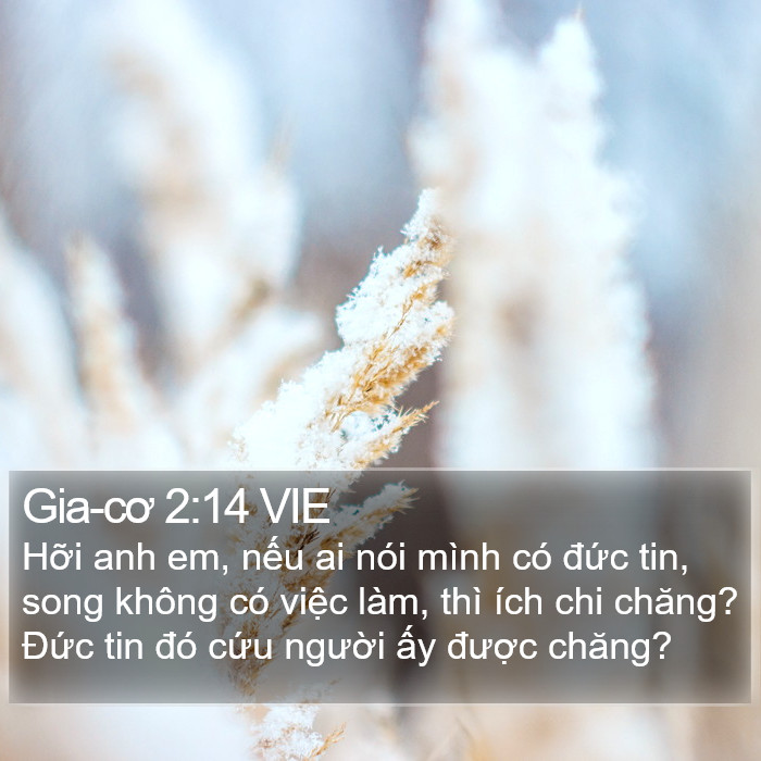 Gia-cơ 2:14 VIE Bible Study