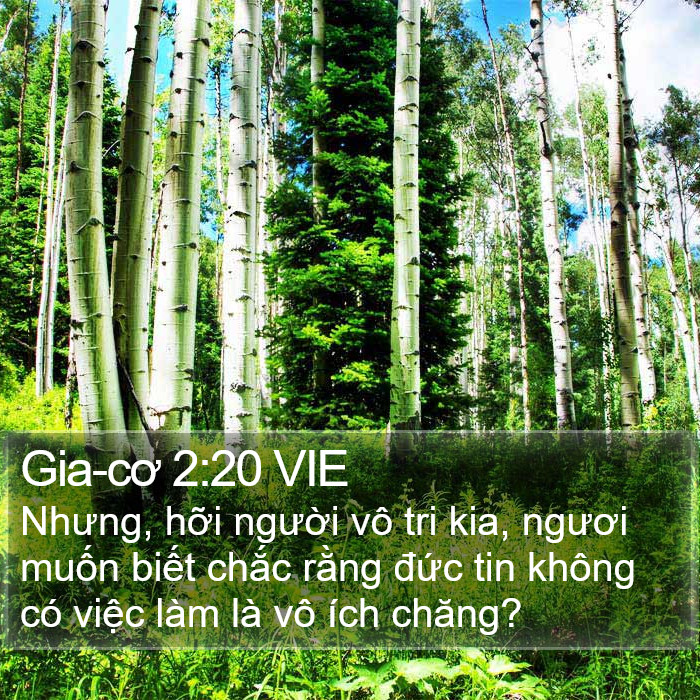 Gia-cơ 2:20 VIE Bible Study