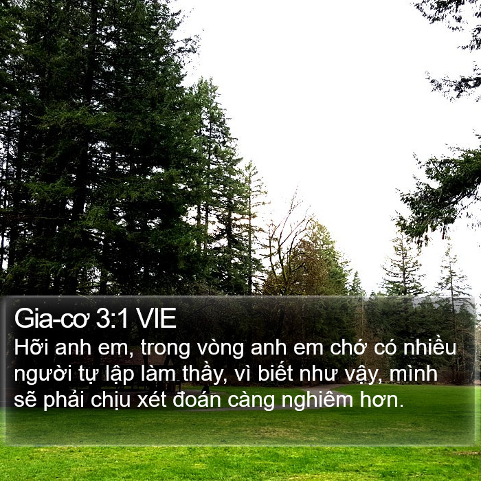 Gia-cơ 3:1 VIE Bible Study