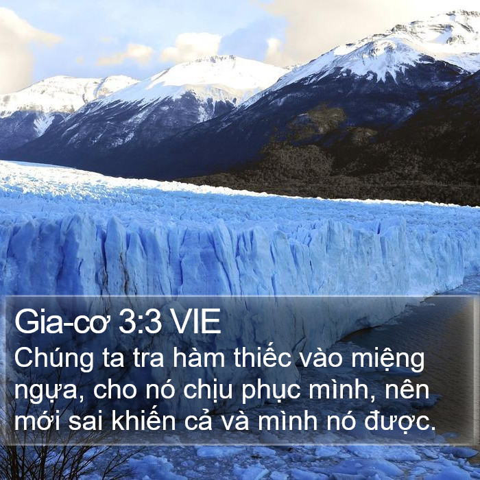 Gia-cơ 3:3 VIE Bible Study