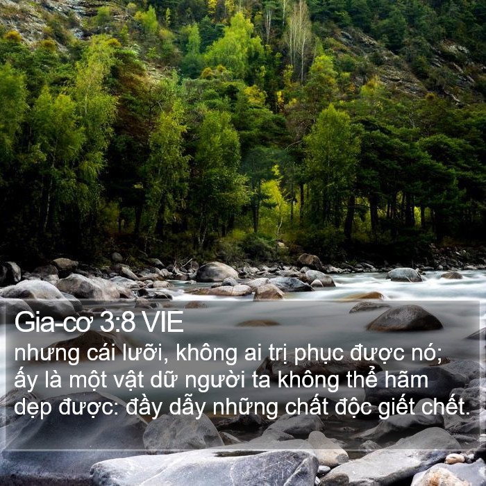 Gia-cơ 3:8 VIE Bible Study