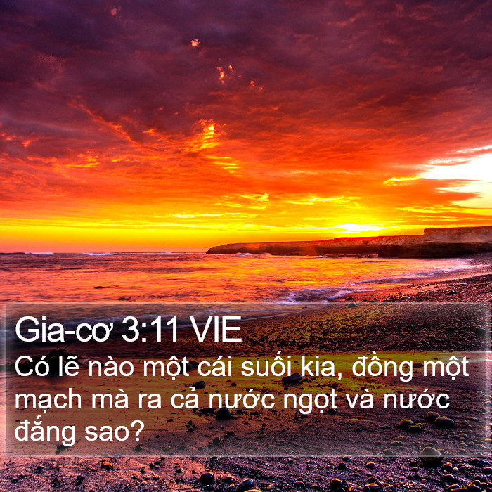 Gia-cơ 3:11 VIE Bible Study