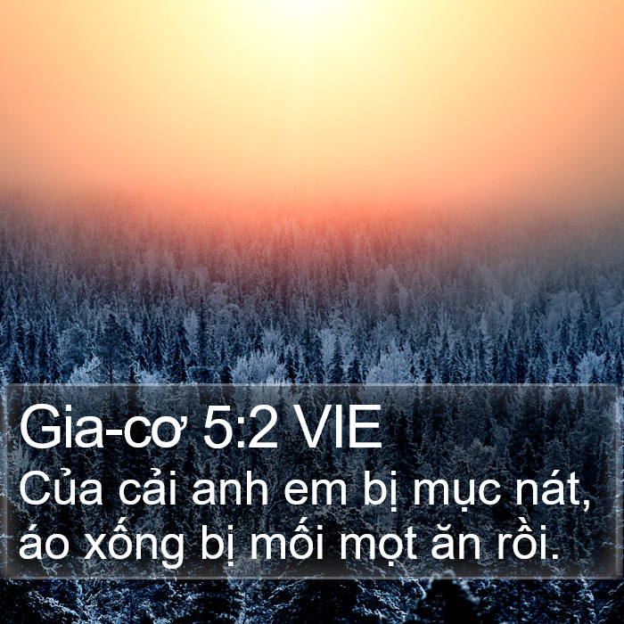 Gia-cơ 5:2 VIE Bible Study