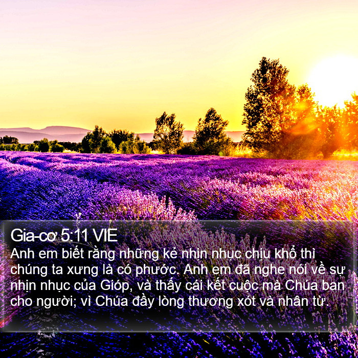 Gia-cơ 5:11 VIE Bible Study