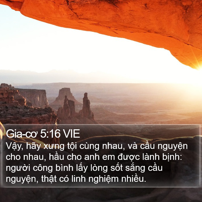 Gia-cơ 5:16 VIE Bible Study