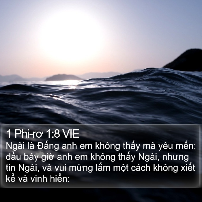 1 Phi-rơ 1:8 VIE Bible Study