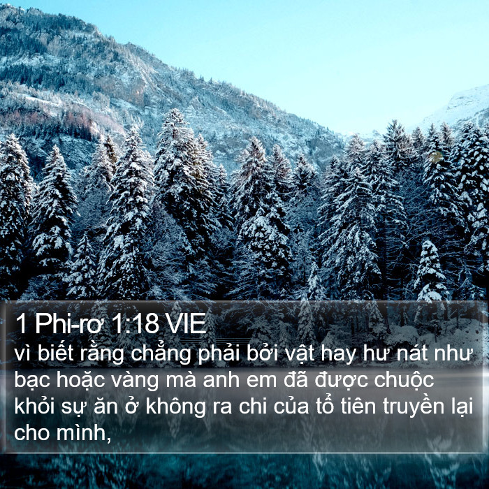 1 Phi-rơ 1:18 VIE Bible Study