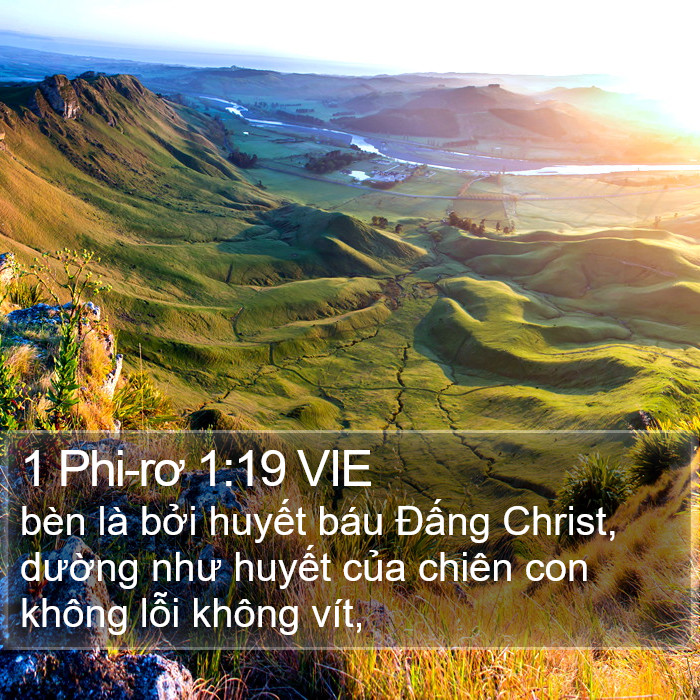 1 Phi-rơ 1:19 VIE Bible Study