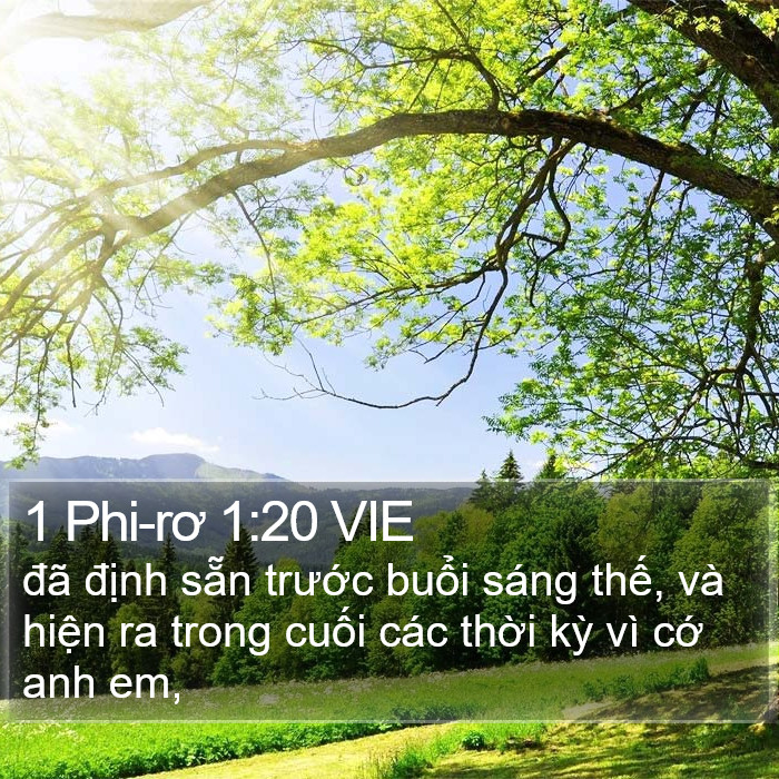 1 Phi-rơ 1:20 VIE Bible Study