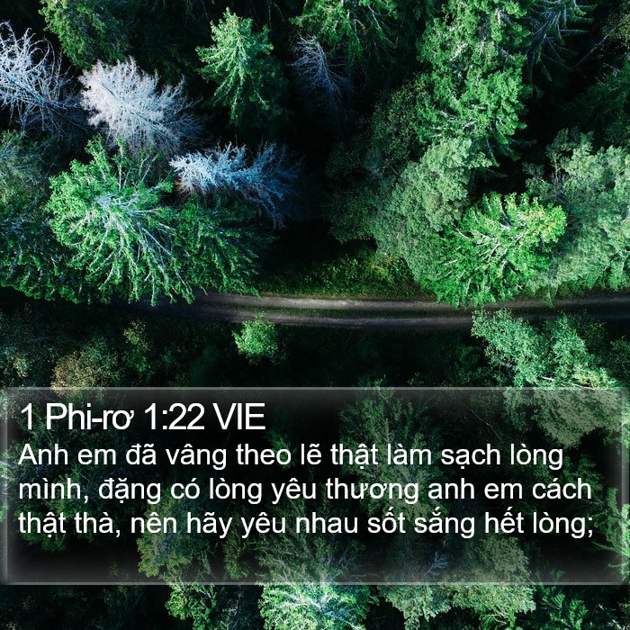 1 Phi-rơ 1:22 VIE Bible Study