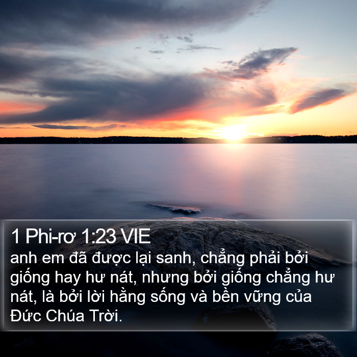 1 Phi-rơ 1:23 VIE Bible Study