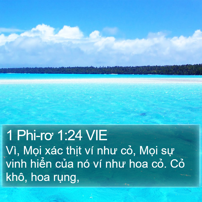 1 Phi-rơ 1:24 VIE Bible Study