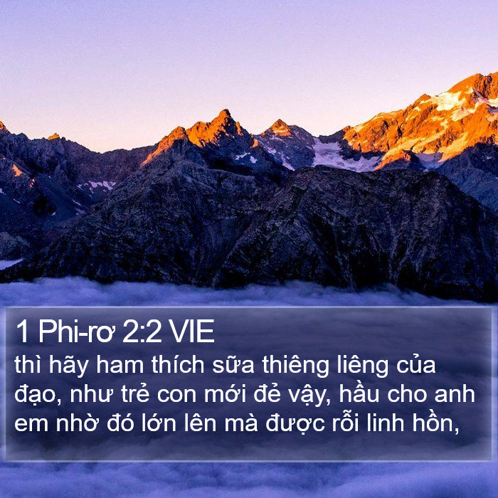 1 Phi-rơ 2:2 VIE Bible Study