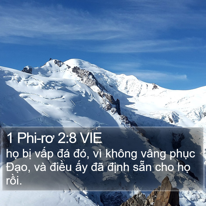 1 Phi-rơ 2:8 VIE Bible Study