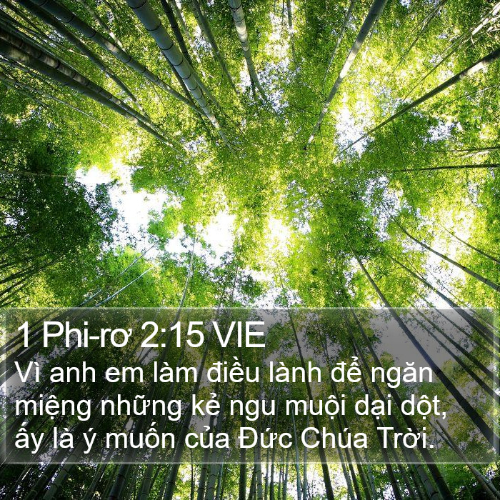 1 Phi-rơ 2:15 VIE Bible Study