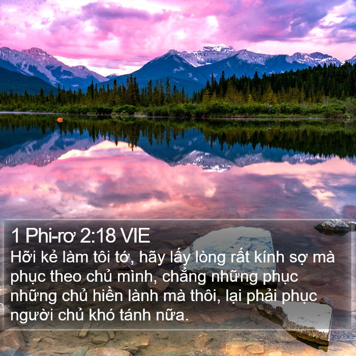 1 Phi-rơ 2:18 VIE Bible Study