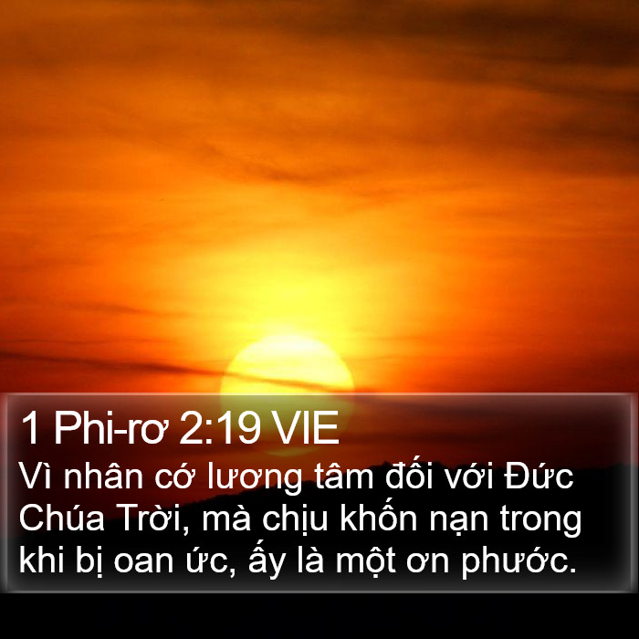 1 Phi-rơ 2:19 VIE Bible Study