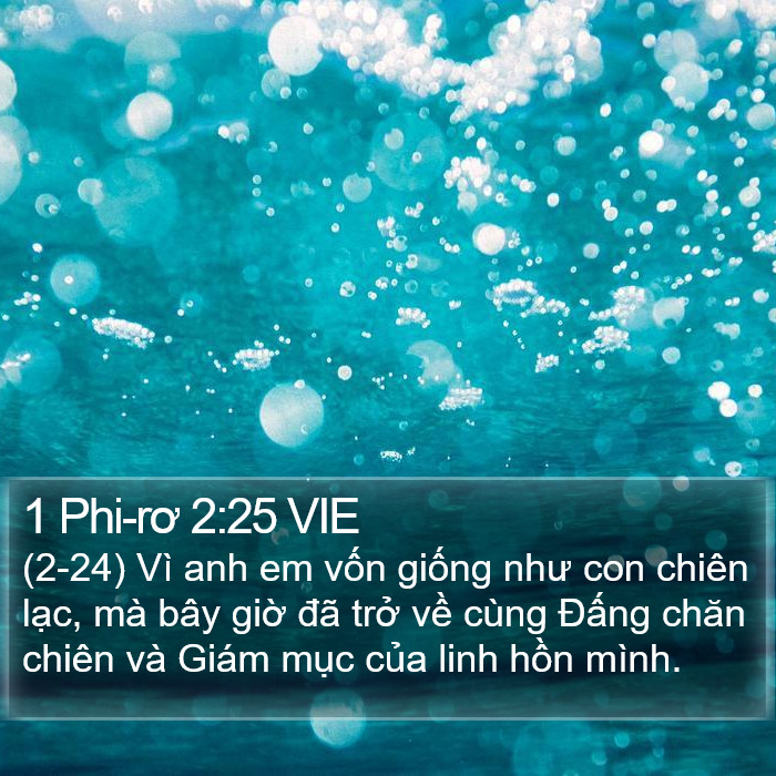 1 Phi-rơ 2:25 VIE Bible Study