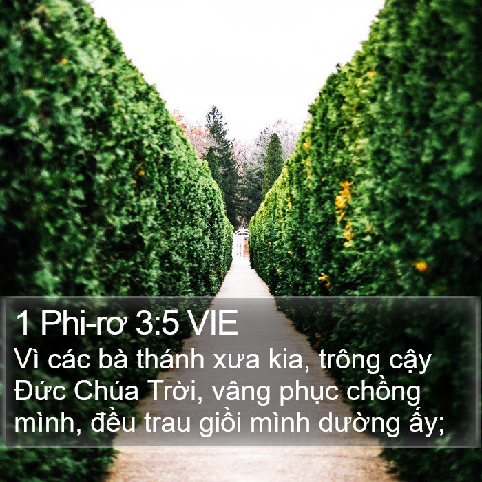 1 Phi-rơ 3:5 VIE Bible Study