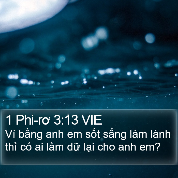 1 Phi-rơ 3:13 VIE Bible Study