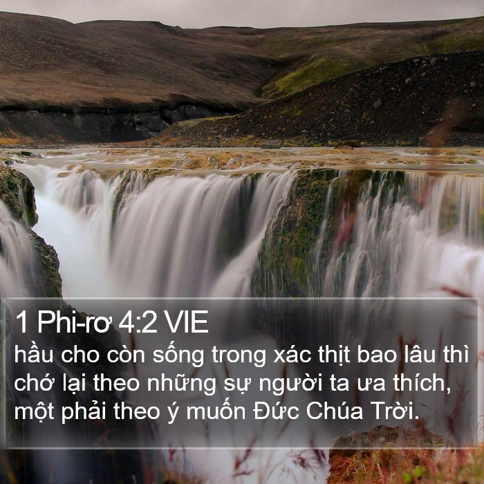 1 Phi-rơ 4:2 VIE Bible Study