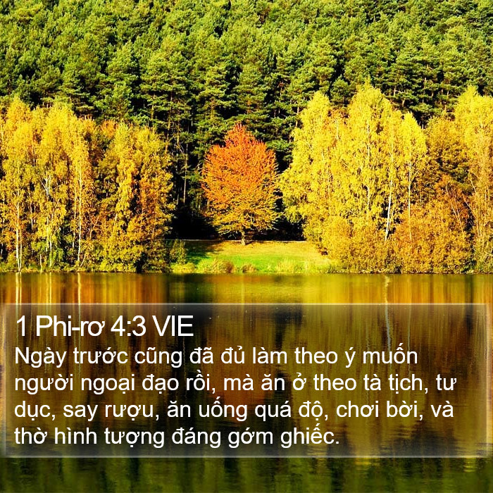 1 Phi-rơ 4:3 VIE Bible Study