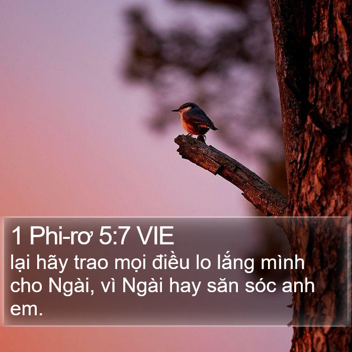 1 Phi-rơ 5:7 VIE Bible Study