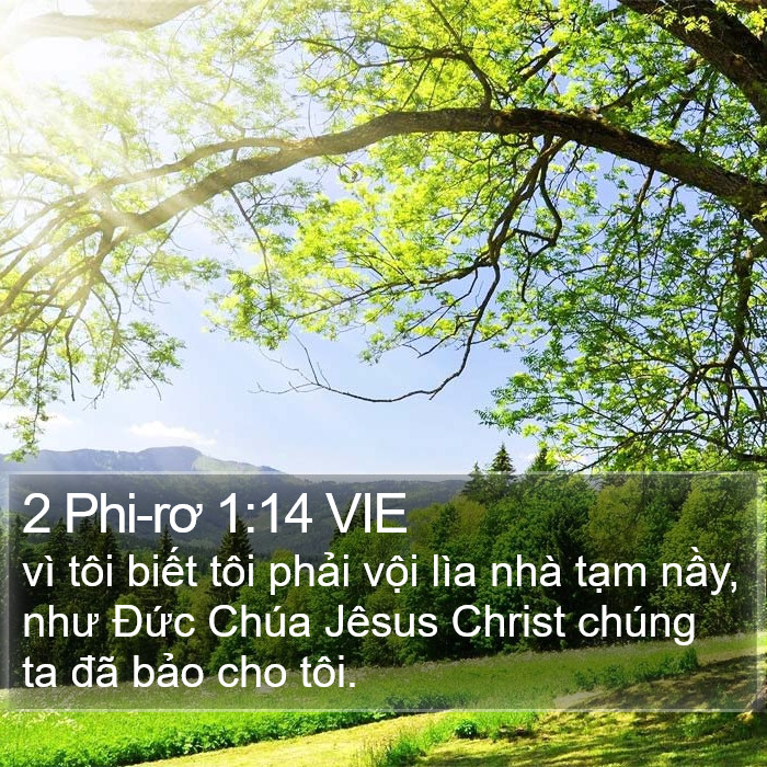 2 Phi-rơ 1:14 VIE Bible Study