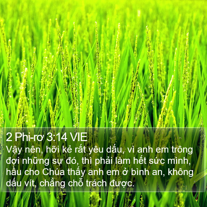 2 Phi-rơ 3:14 VIE Bible Study