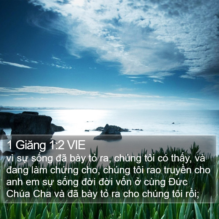 1 Giăng 1:2 VIE Bible Study