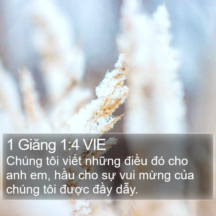 1 Giăng 1:4 VIE Bible Study