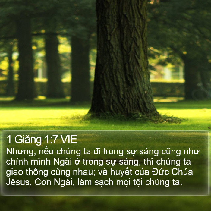 1 Giăng 1:7 VIE Bible Study