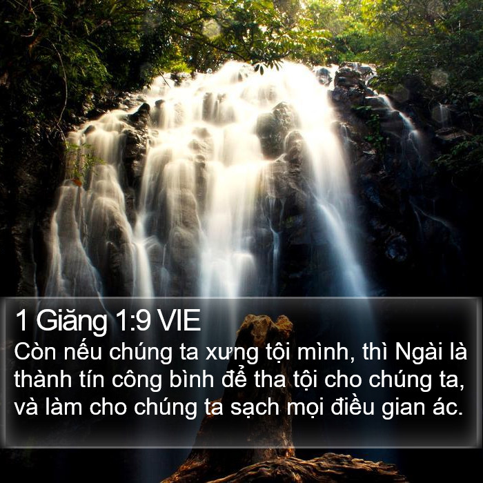 1 Giăng 1:9 VIE Bible Study