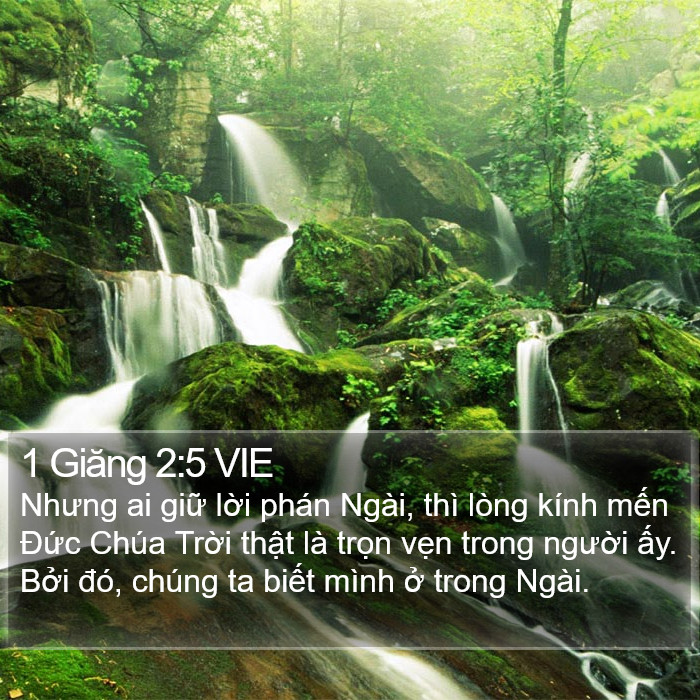 1 Giăng 2:5 VIE Bible Study