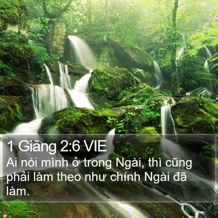 1 Giăng 2:6 VIE Bible Study