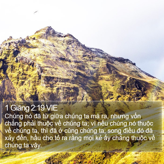 1 Giăng 2:19 VIE Bible Study