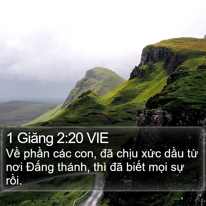 1 Giăng 2:20 VIE Bible Study