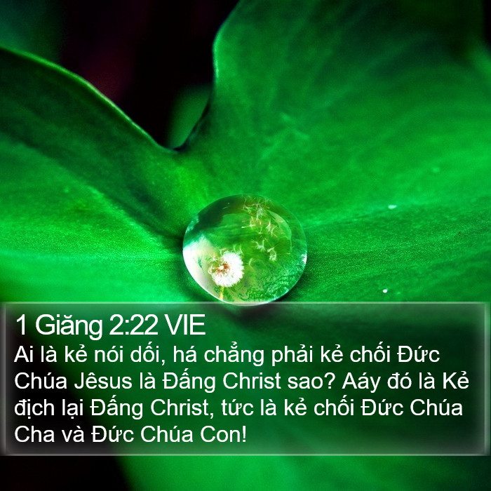 1 Giăng 2:22 VIE Bible Study