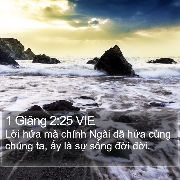 1 Giăng 2:25 VIE Bible Study