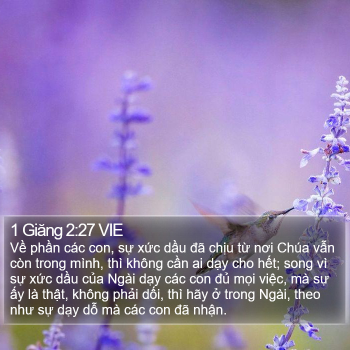 1 Giăng 2:27 VIE Bible Study