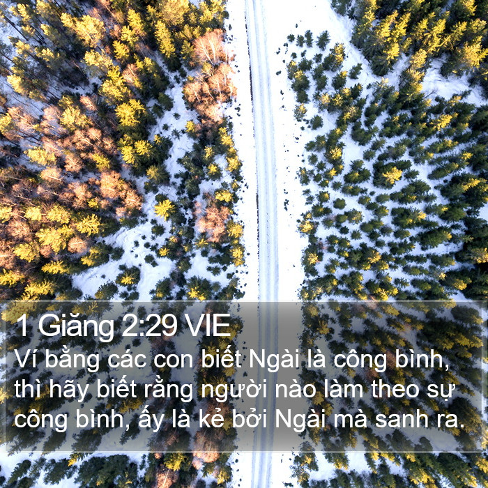 1 Giăng 2:29 VIE Bible Study