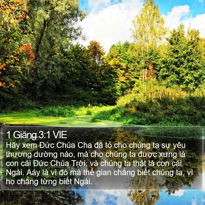 1 Giăng 3:1 VIE Bible Study