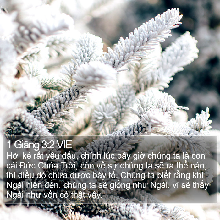 1 Giăng 3:2 VIE Bible Study