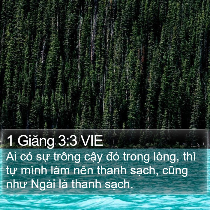 1 Giăng 3:3 VIE Bible Study