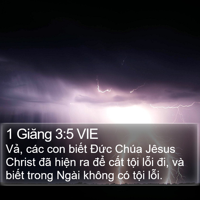 1 Giăng 3:5 VIE Bible Study