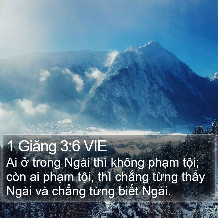 1 Giăng 3:6 VIE Bible Study