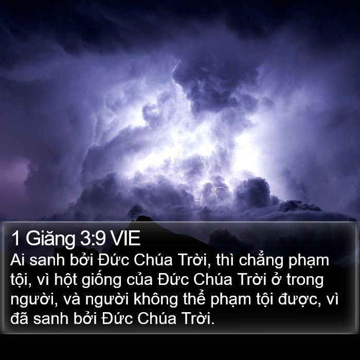 1 Giăng 3:9 VIE Bible Study